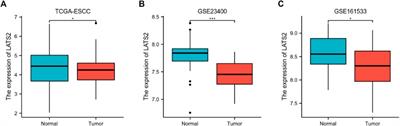 Identifying LATS2 as a prognostic biomarker relevant to immune infiltrates in human esophageal squamous cell carcinoma